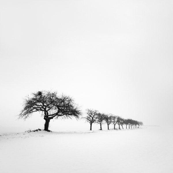 Photograph Carmen Spitznagel Frozen Dreams on One Eyeland